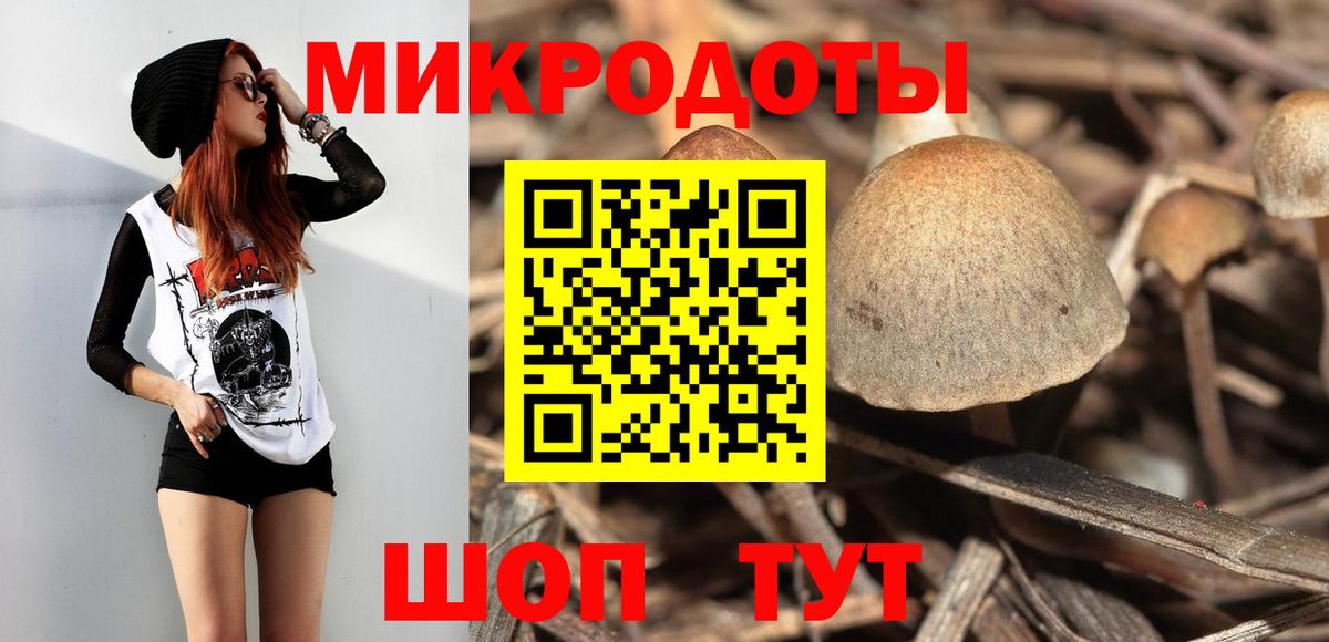 Сокол  Галлюциногенные грибы прущие грибы  Галлюциногенные грибы ЛСД  наркотики  Вход с VPN 